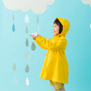 雨の日のお散歩の楽しみ方